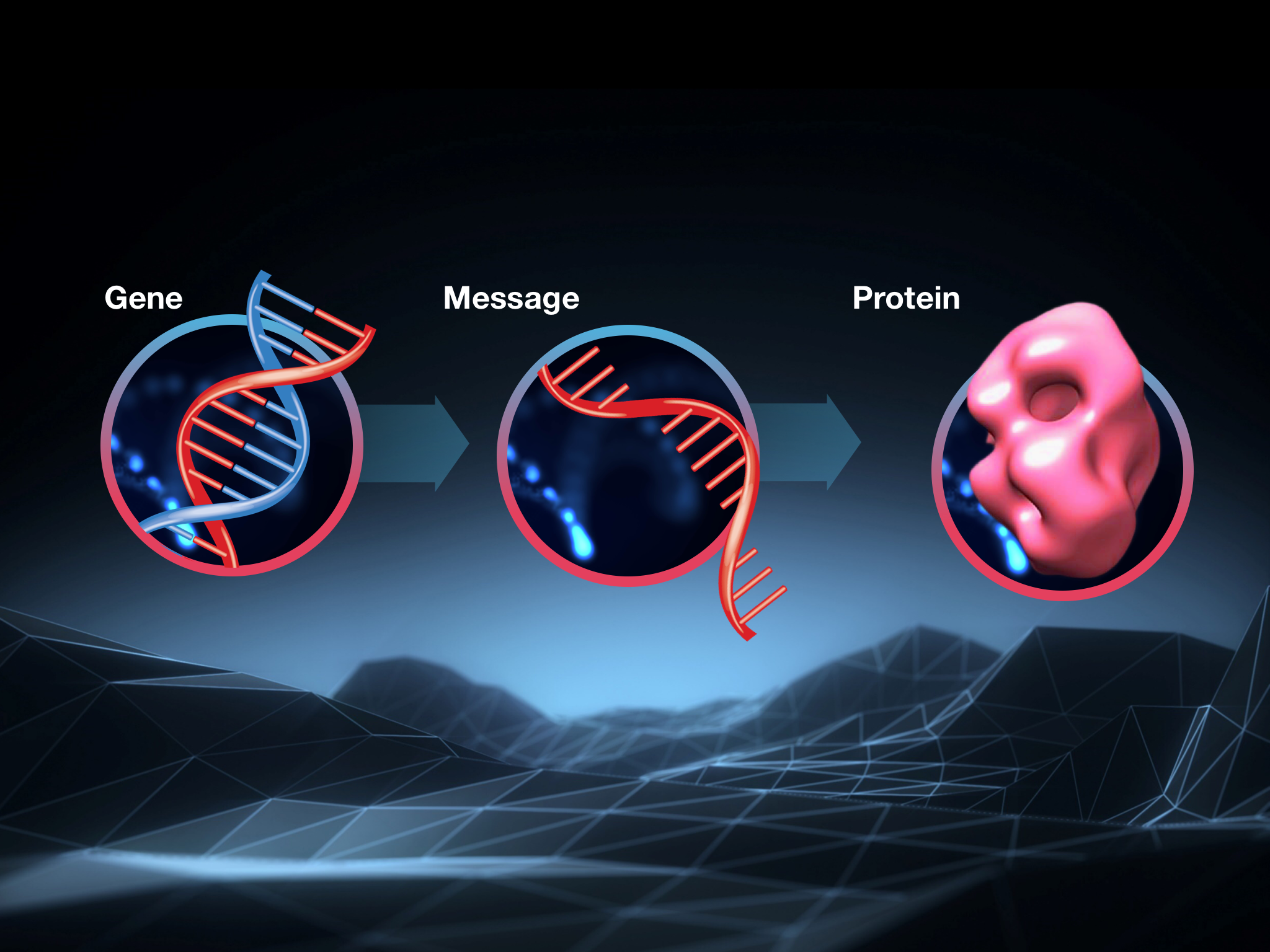 All you need to know about molecular biology - the HD gene in DNA provides instructions to create the huntingtin protein.  A messenger molecule, constructed of RNA, carries the message from the gene to the protein-making machines in the cell.  